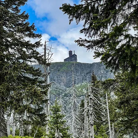 Appartement 600 Npm *