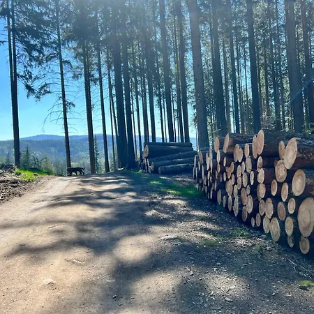 Appartement 600 Npm *