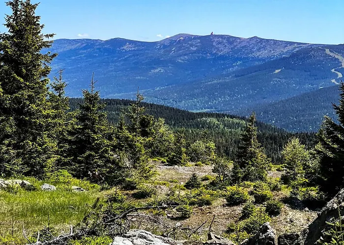 Apartamento 600 Npm *