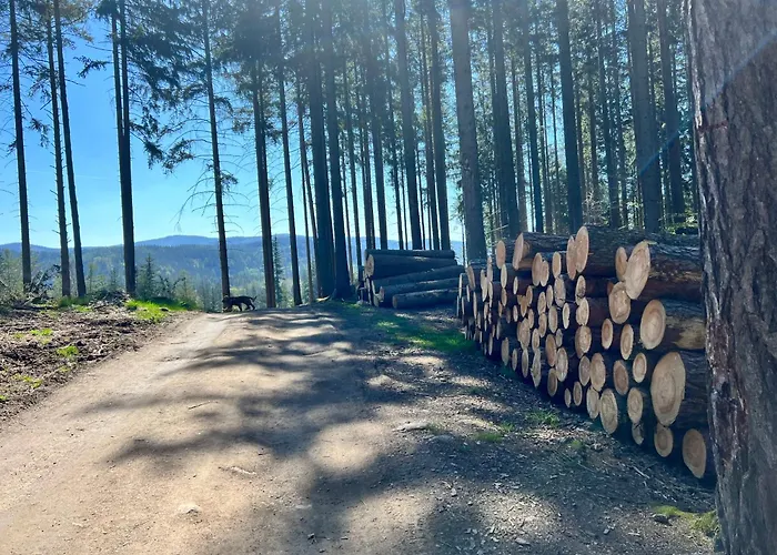 Apartamento 600 Npm *