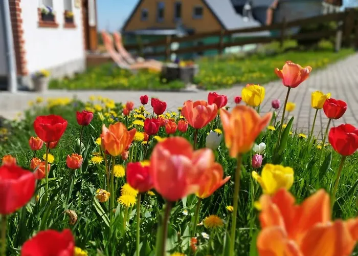 Apartamento 600 Npm *